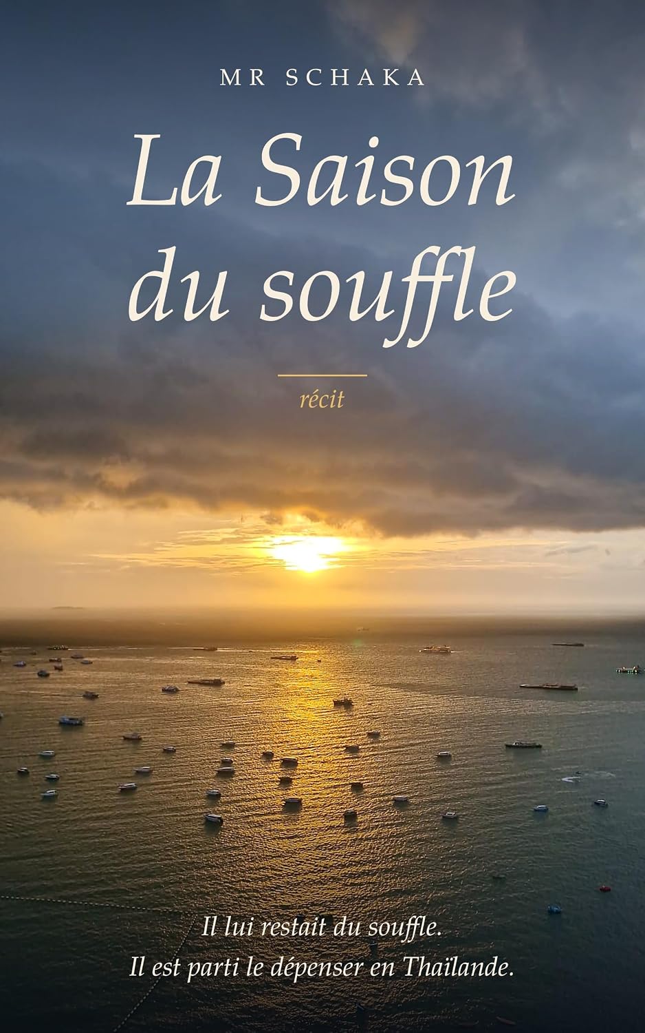 Couverture : La Saison du souffle