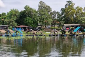 Les cabanes flottantes du lac de Huai Pung Yai, en Isan