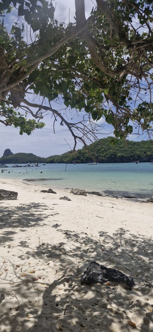 Phuket guide: how to choose your beach and plan your stay
