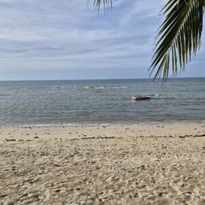 What to know about the Chulalongkorn public holiday in Thailand?