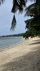 Plage calme bordée de palmiers sous le soleil en Thaïlande