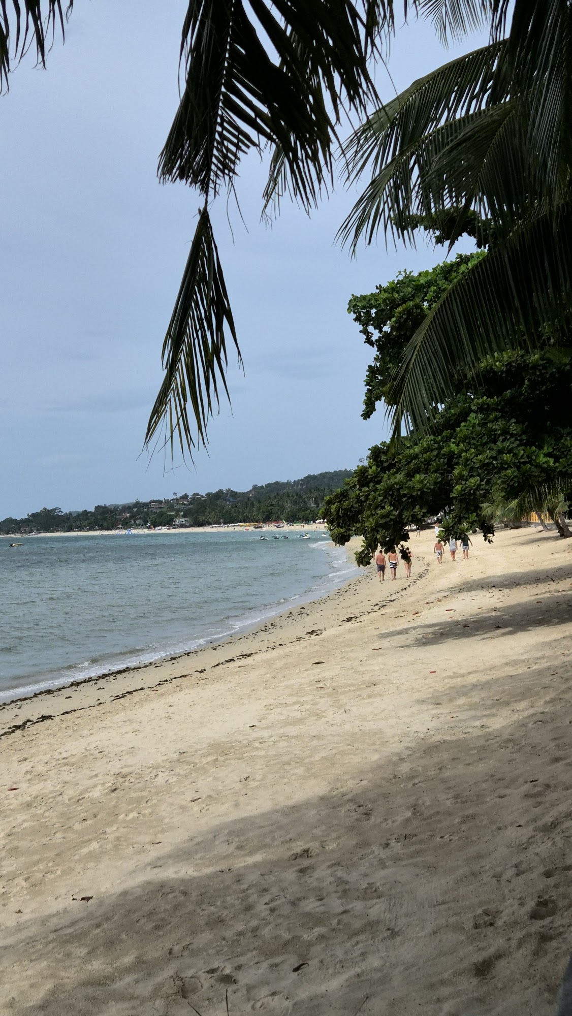 Winter in Thailand over 50: region, visa and monthly budget