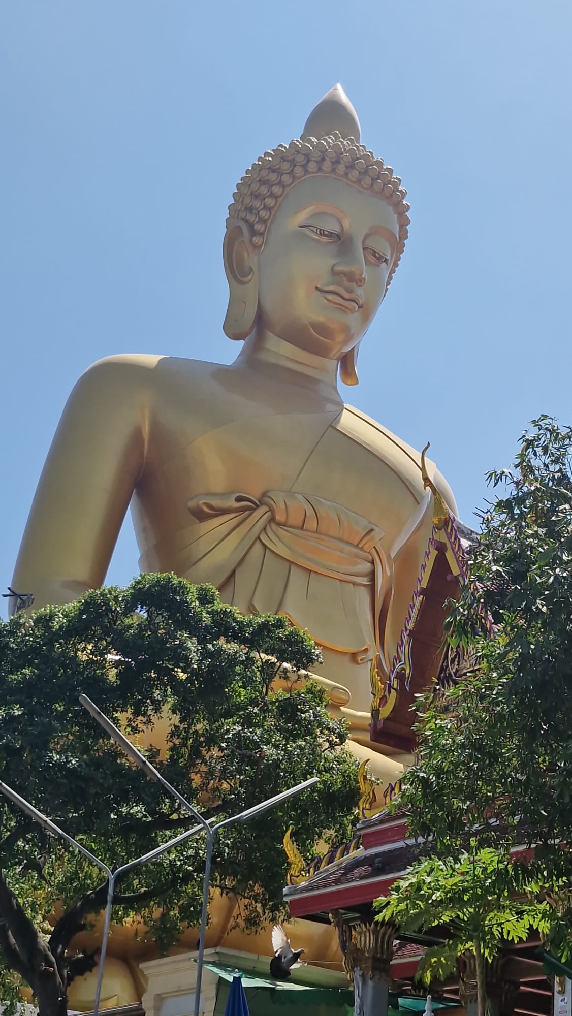 Thailand: night markets | travel tips — a practica